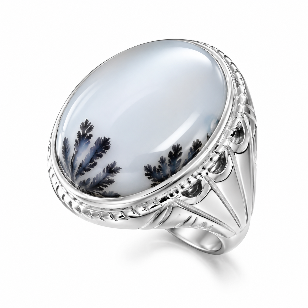 شجر بوته دار تک درختی نقره رکاب جوندار و مشتی